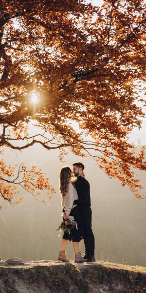 Goldener Herbst ganz nah