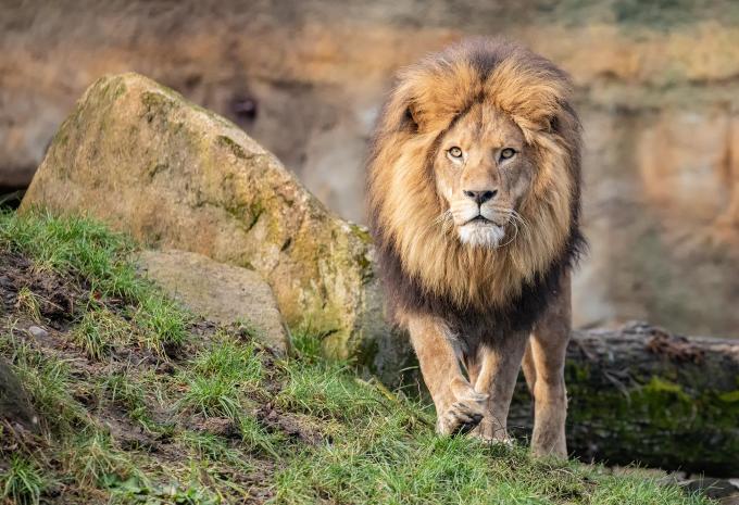 Zoo di Hellabrunn