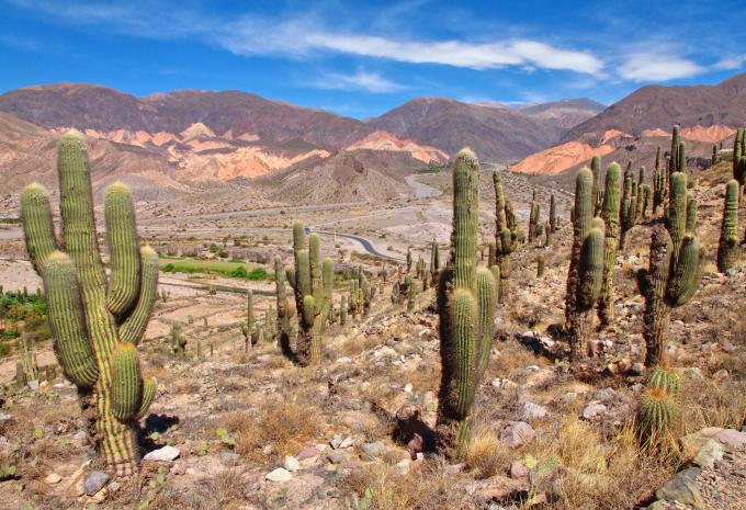 Quebrada de Humahuaca