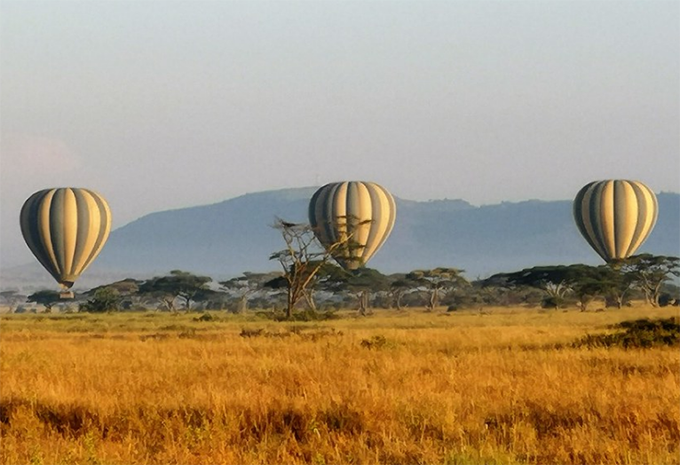Kenia - Luxus-Safari & Baden