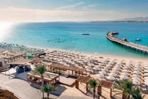 SRNTY Sahl Hasheesh*****