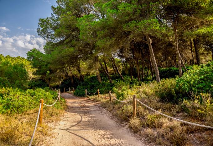 Mallorca  - Wanderreise