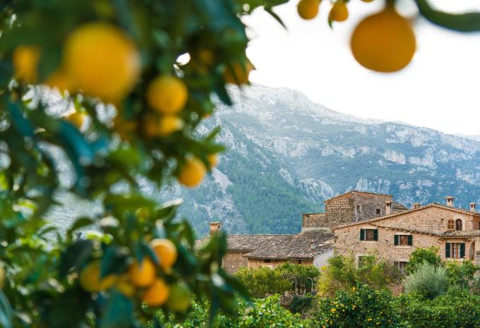 Mallorca  - Wanderreise